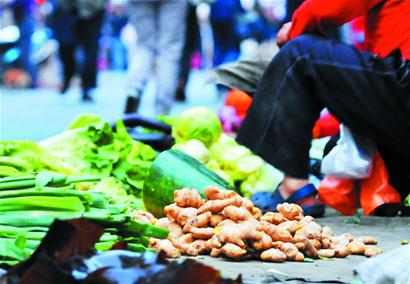 姜價創(chuàng)十年最低僅2元/斤 姜價創(chuàng)十年最低僅2元/斤