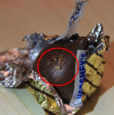 青島市民婚禮用好時(shí)巧克力現(xiàn)活蛆 全國(guó)均吃出