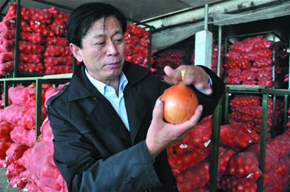 平度菜農當8年阿里巴巴洋蔥標王 親自跟外商談判