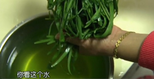 早市毒韭菜疑似重現(xiàn)江湖 洗菜水一汪澄綠 早市毒韭菜疑似重現(xiàn)江湖 洗菜水一汪澄綠