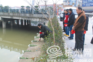 在杜光華落水處,人們擺上了白菊花。