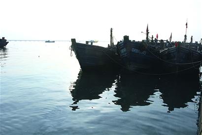 “寄居”深海 紅島蛤蜊不怕冷 “寄居”深海 紅島蛤蜊不怕冷