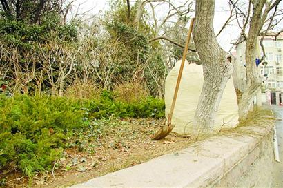 狠心父母將嬰兒棄花壇 僅裹床單疑被活活凍死