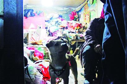 一場車禍“撞”出一樁感人事 一場車禍“撞”出一樁感人事