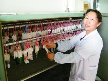 羊絨?羊毛?放大500倍數1500根 羊絨?羊毛?放大500倍數1500根