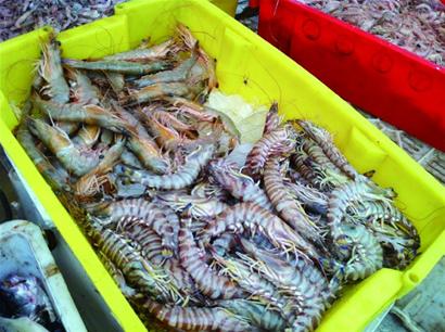 青島海鮮味美量少價高一些商販打著“本地”的旗號撈錢 青島海鮮味美量少價高一些商販打著“本地”的旗號撈錢