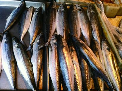 青島海鮮味美量少價高一些商販打著“本地”的旗號撈錢 青島海鮮味美量少價高一些商販打著“本地”的旗號撈錢