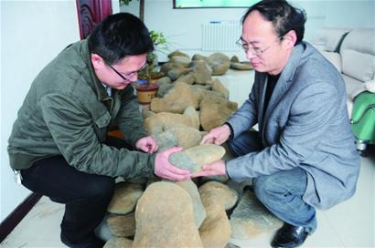 即墨茶場驚現(xiàn)“隕石陣” 即墨茶場驚現(xiàn)“隕石陣”