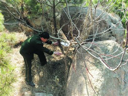 困嶗山三天三夜老太命真大 困嶗山三天三夜老太命真大