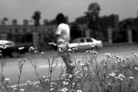 6月8日，岳麓區杜鵑路附近，黃俊雅稱在這附近練車時，遭遇教練強吻。圖/記者辜鵬博